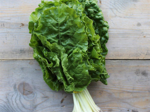 Green chard.png