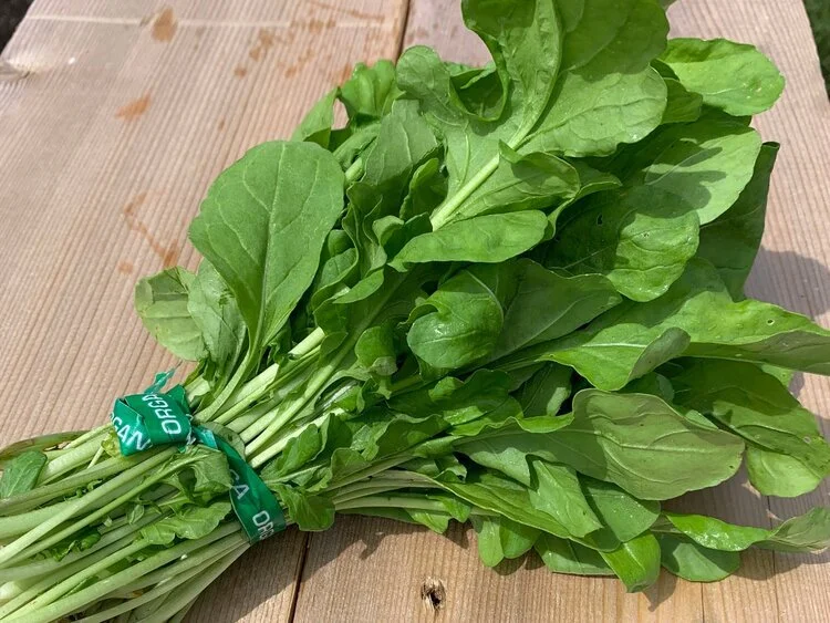 Arugula.jpg