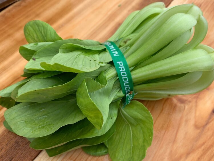 Bok+Choy.jpg