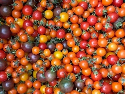 Cherry+Tomato.jpg