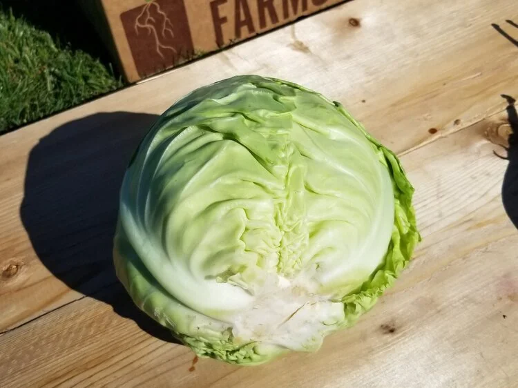 Green.jpg