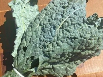 Lacinato+Kale.jpg