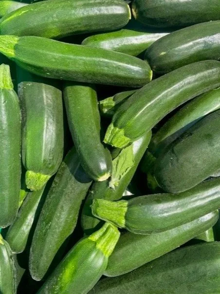 Green+Zucchini.jpg