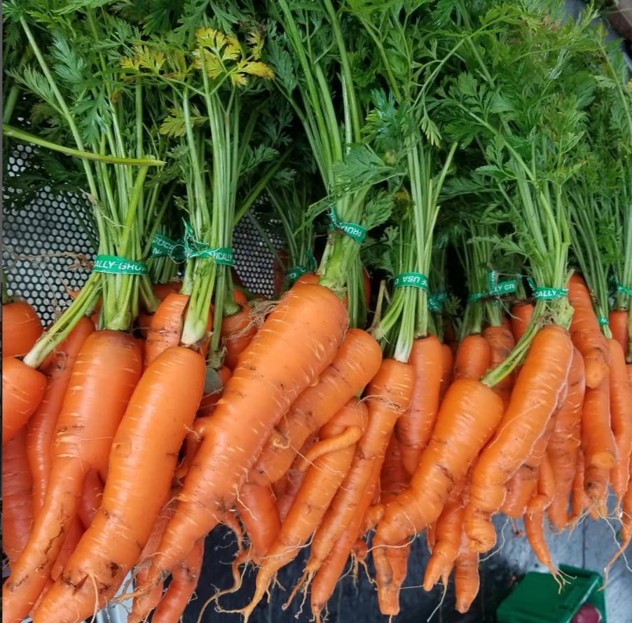 Orange Carrot (1 bunch)