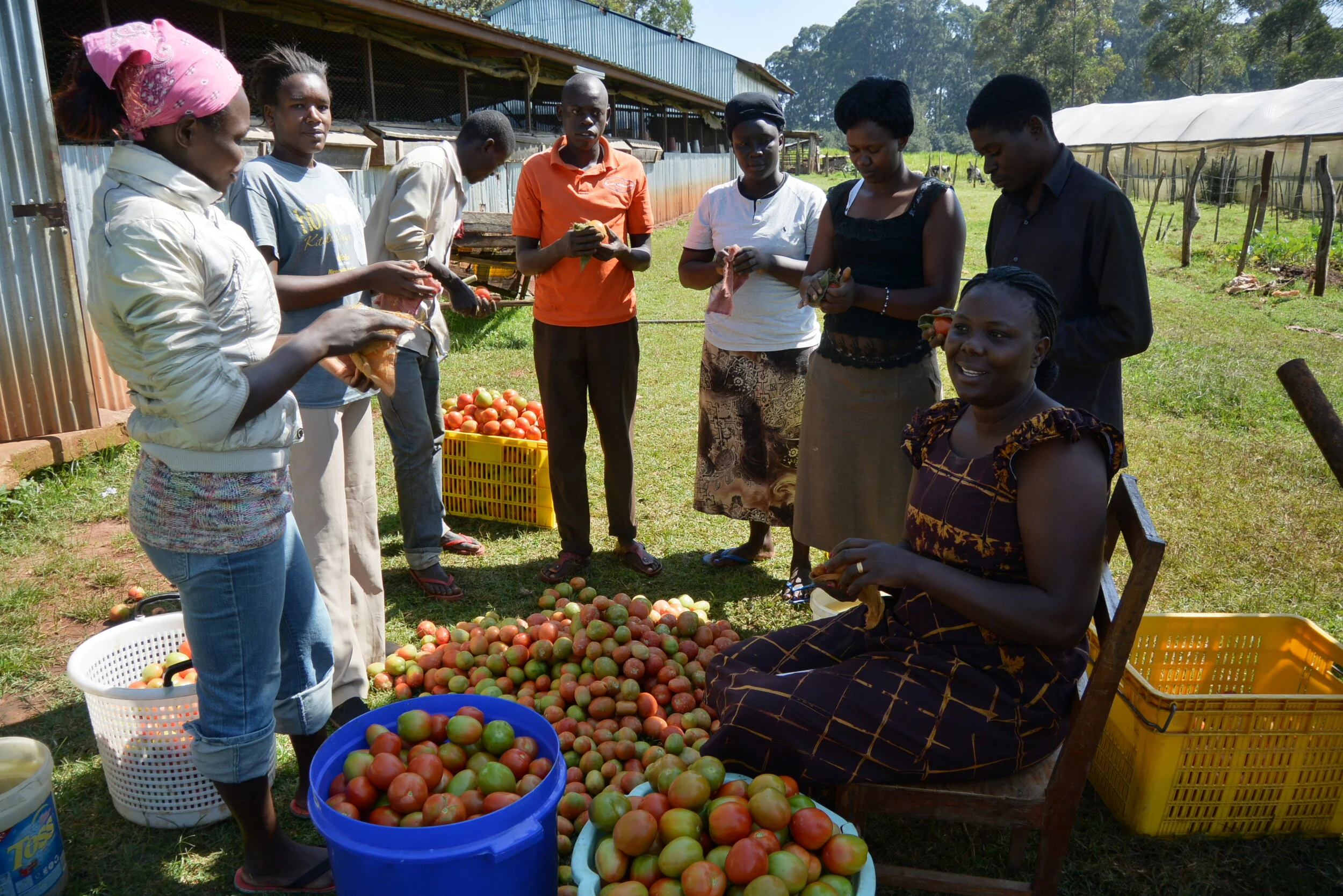 Seeds Bread of Life Feeding Center