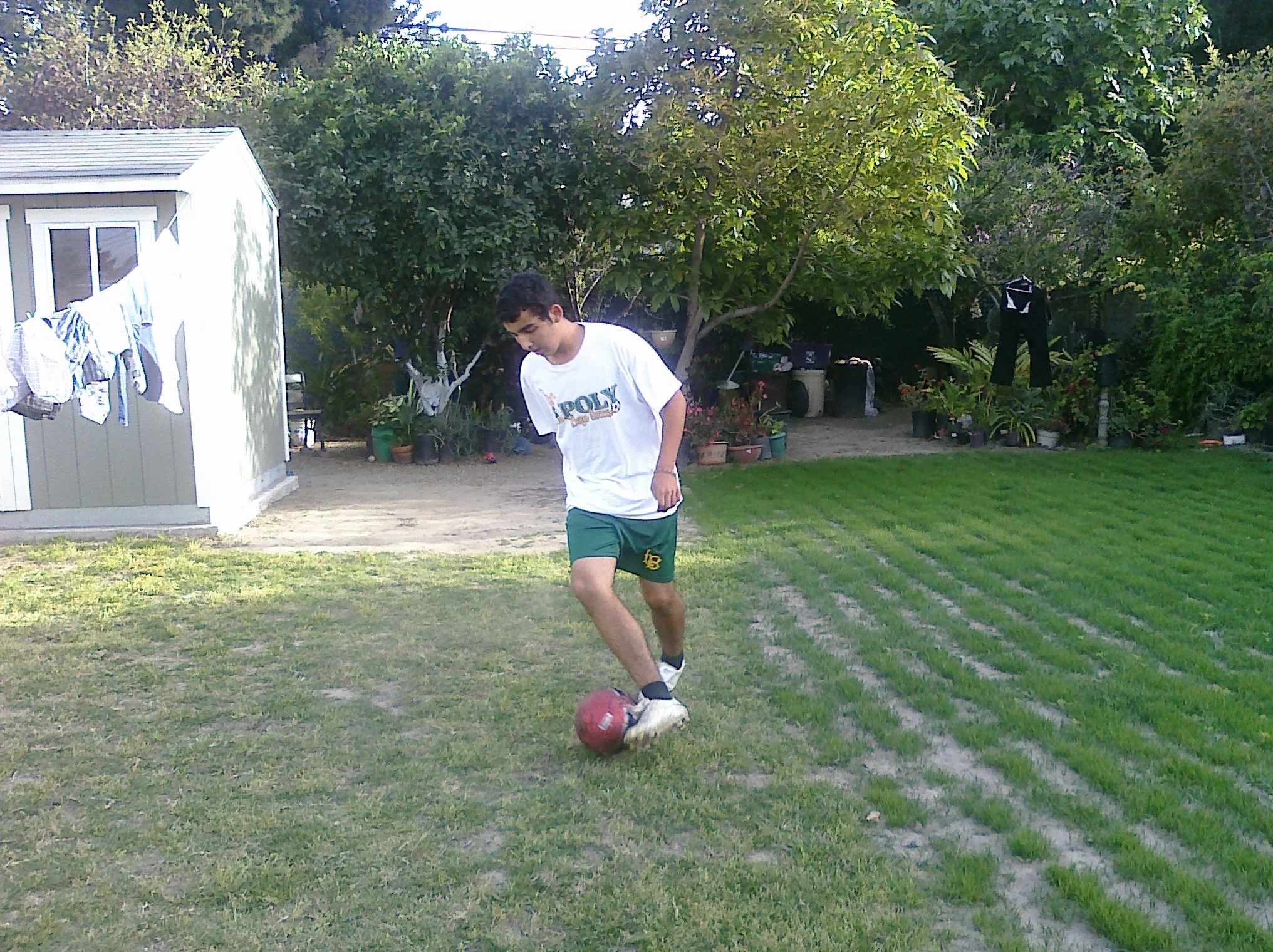 Palm Pre Pictures 154.jpg