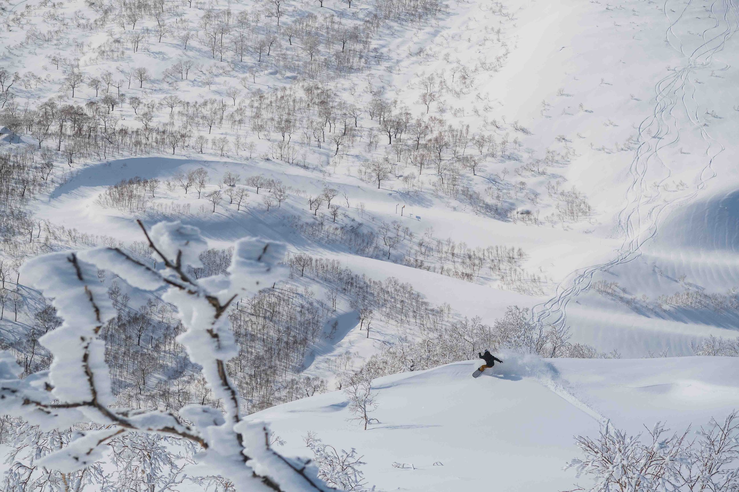 Snow-1.jpg