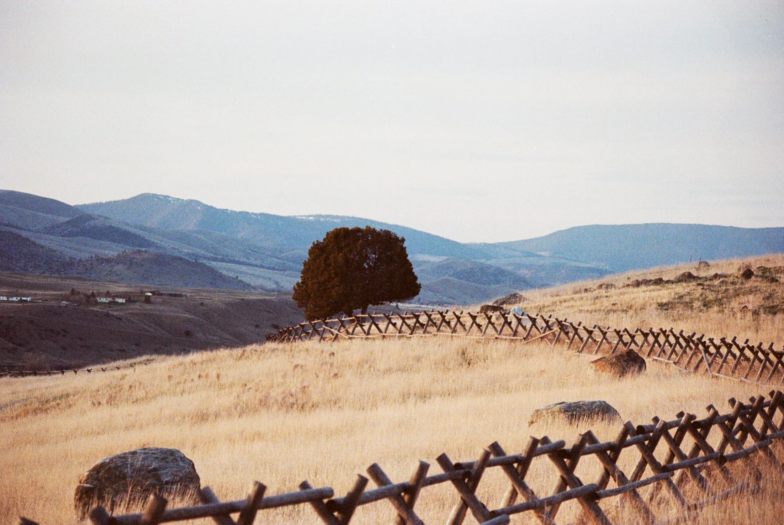 Montana on Film-1.jpg