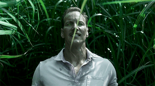 inthetallgrass.gif