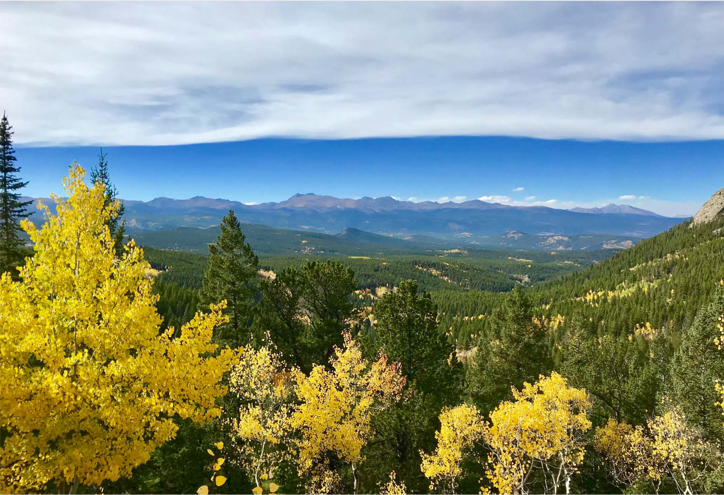 July 2026 Fundraiser- Thursday, July 16th