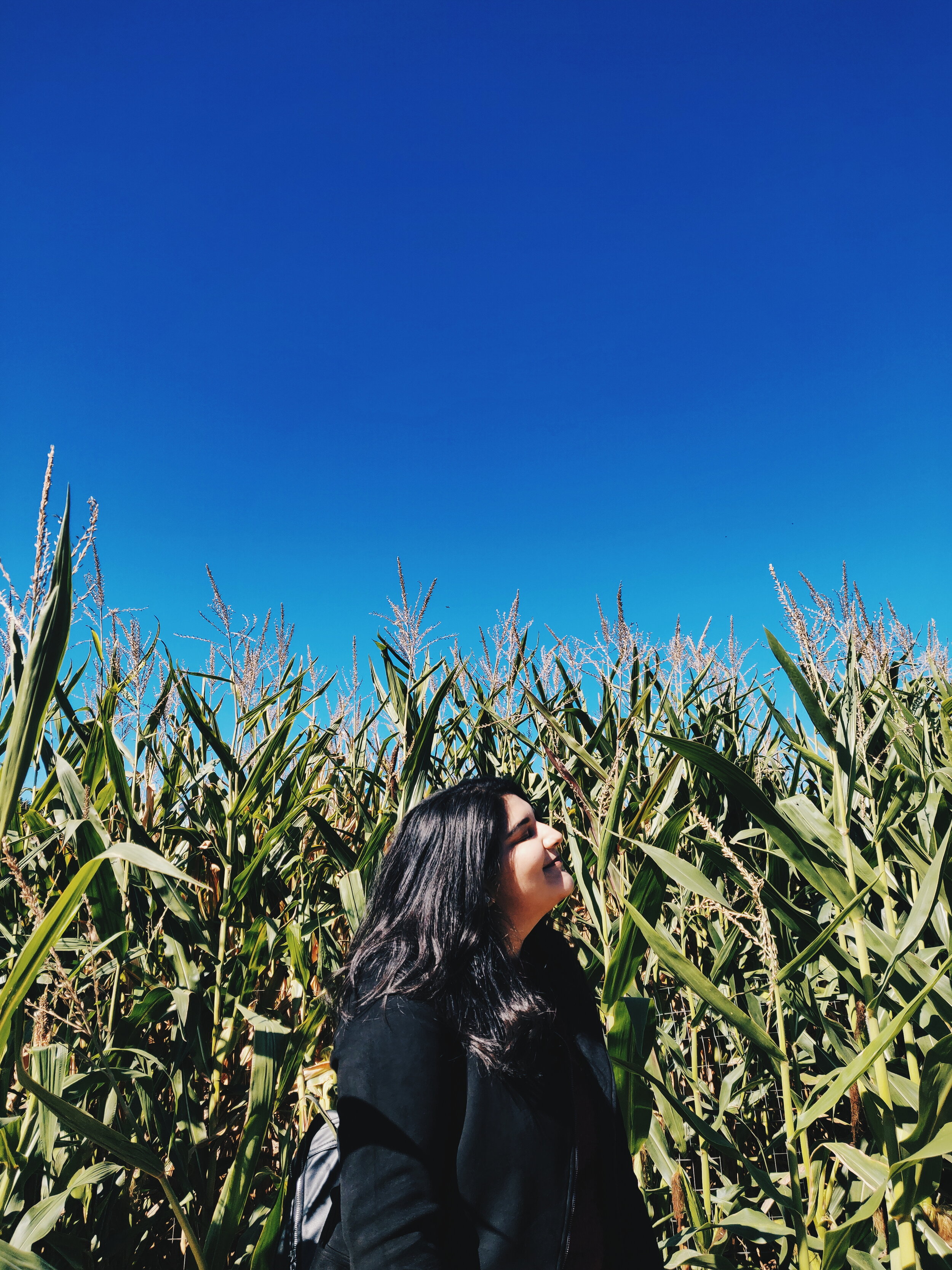 2019-10-05 02.07.02 2.jpg