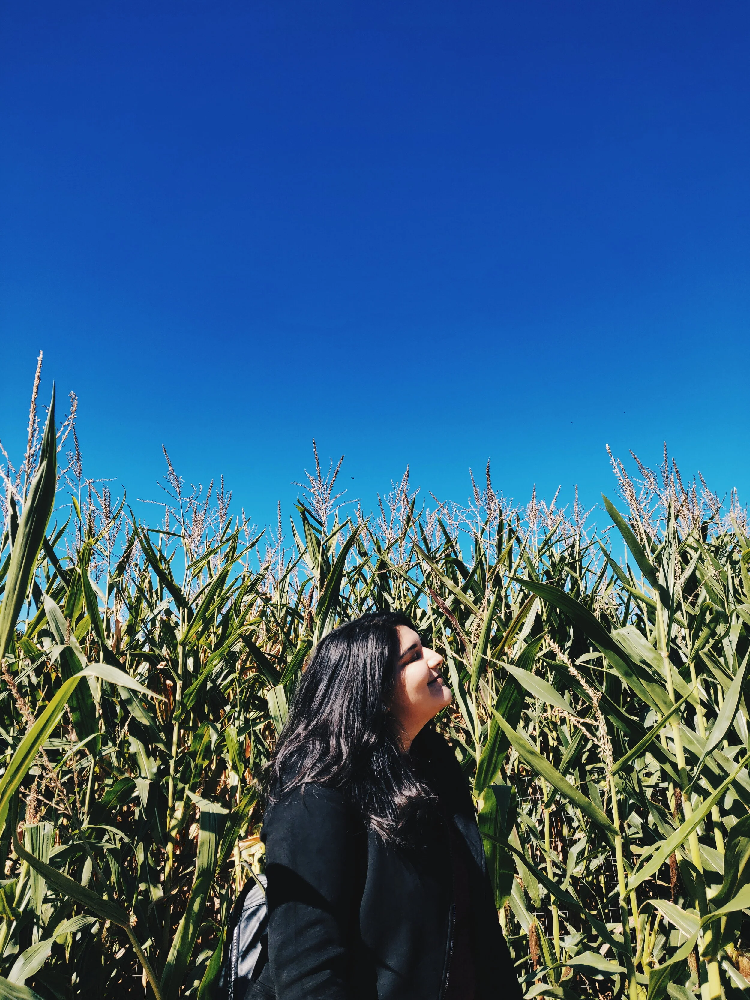 2019-10-05 02.07.02 2.jpg