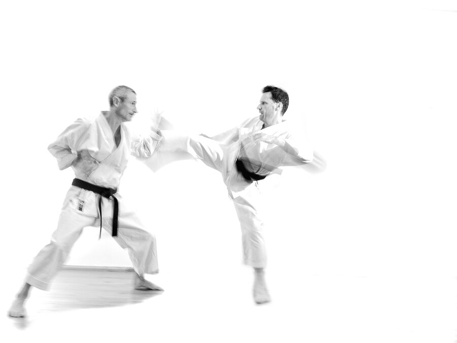 KARATE SHOTOKAN