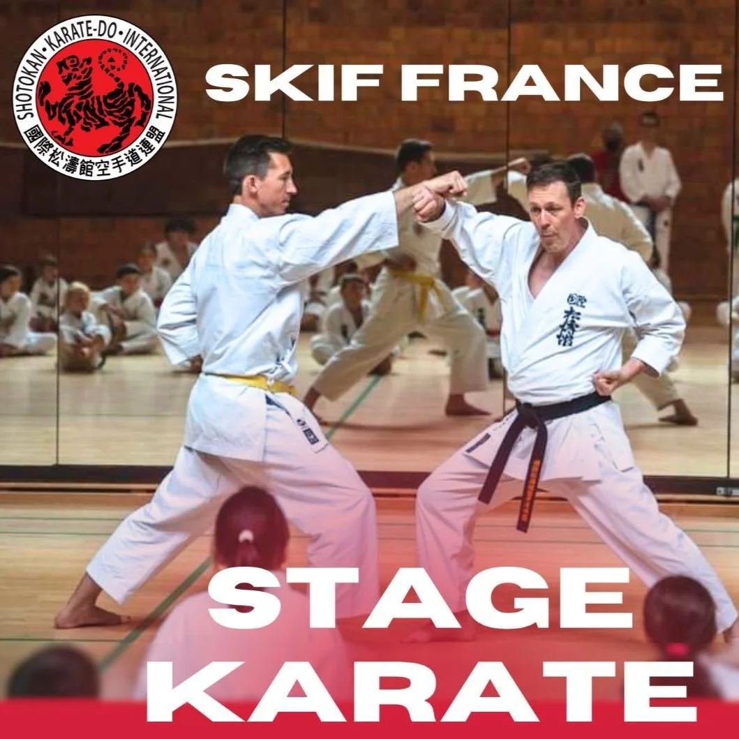 Stage de Karaté Shotokan SKIF France : un rendez-vous à ne pas manquer !  