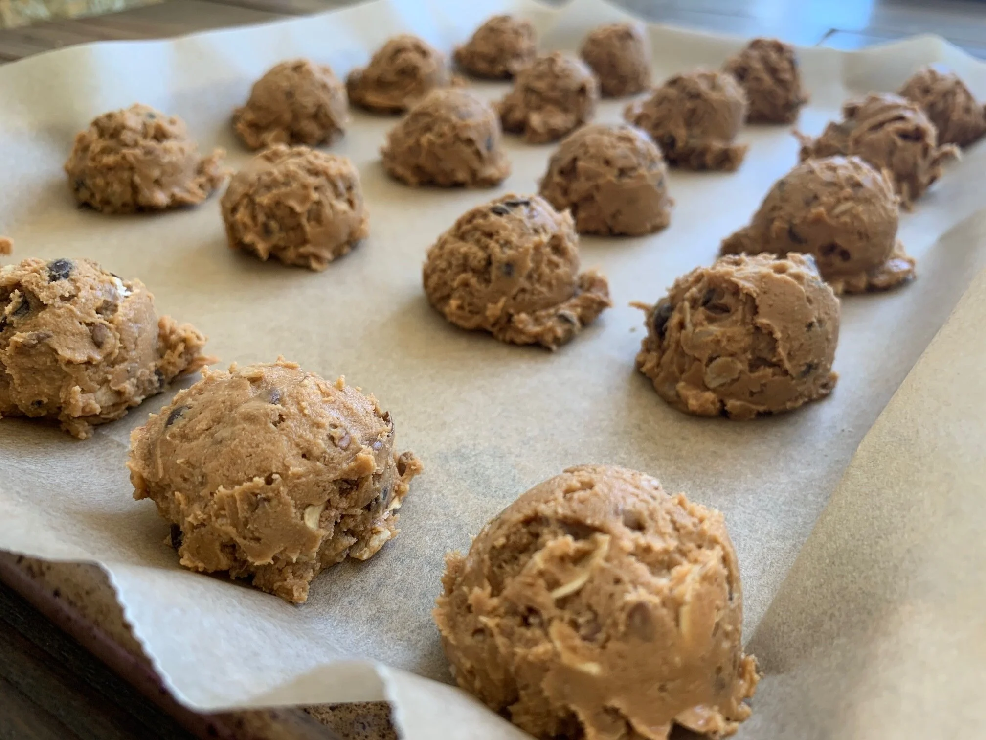 aunt danelle’s no bake peanut butter protein balls
