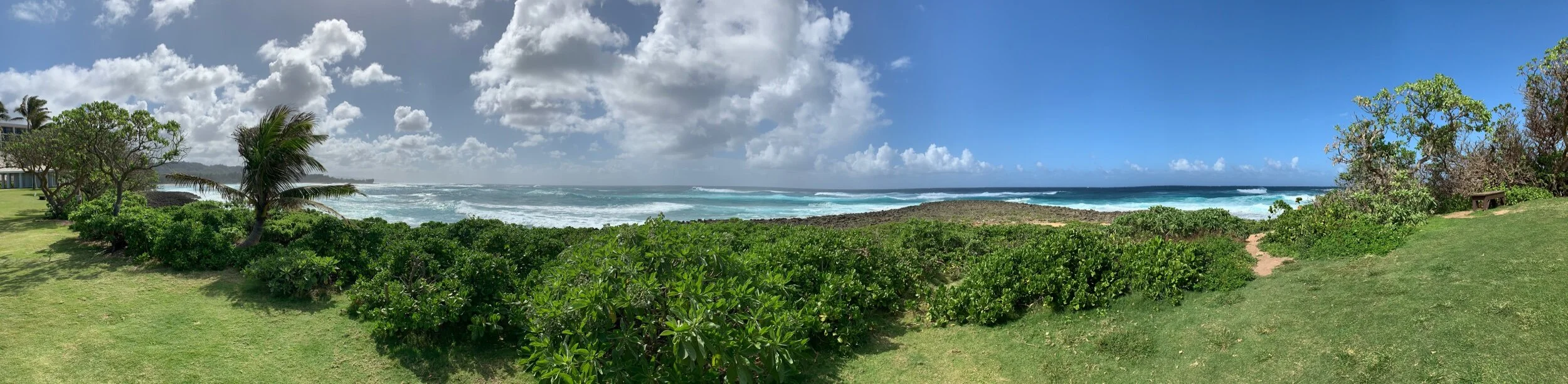 my hawaii what to eat &amp; where to play shortlist