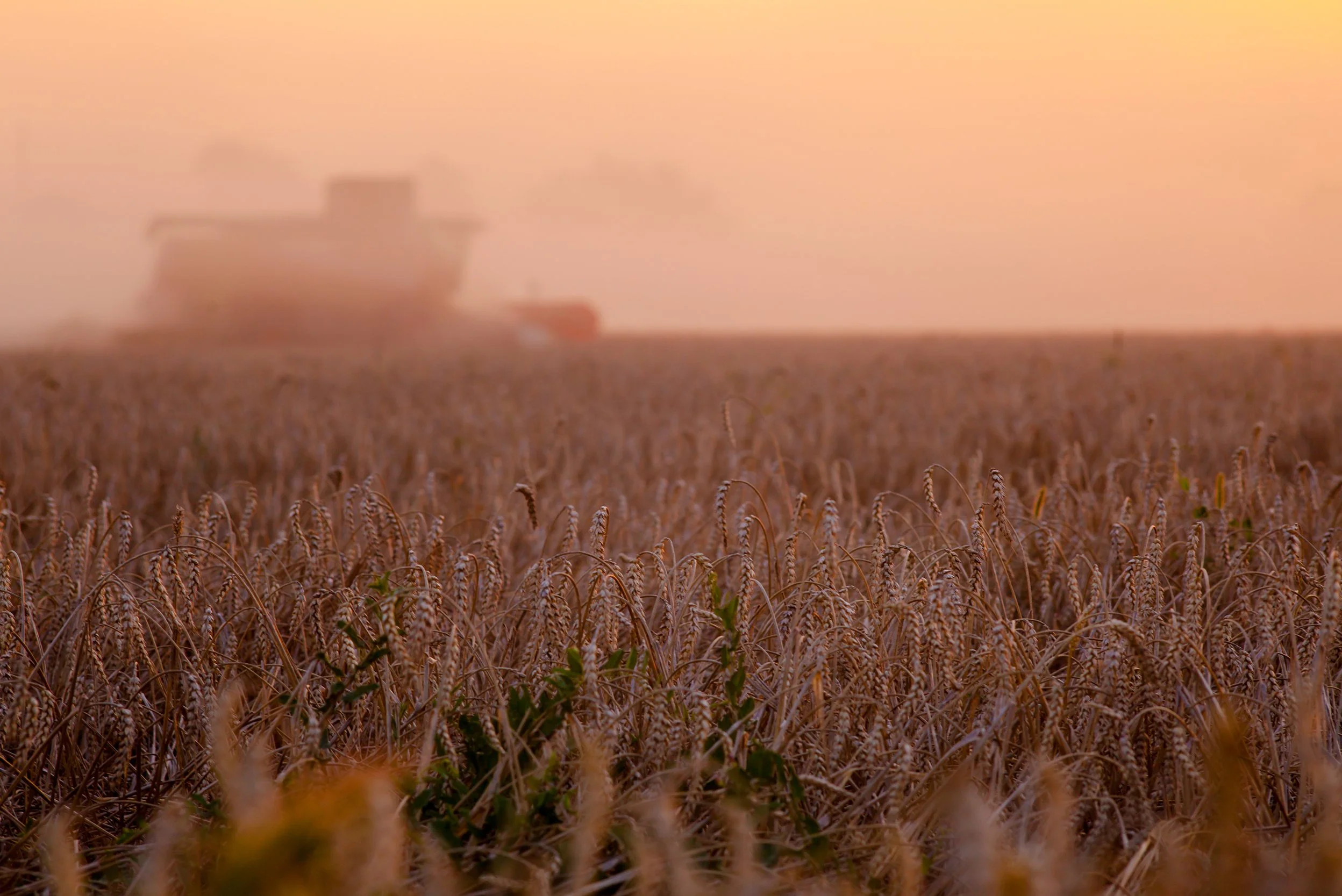 Harvest Now, Decrypt Later