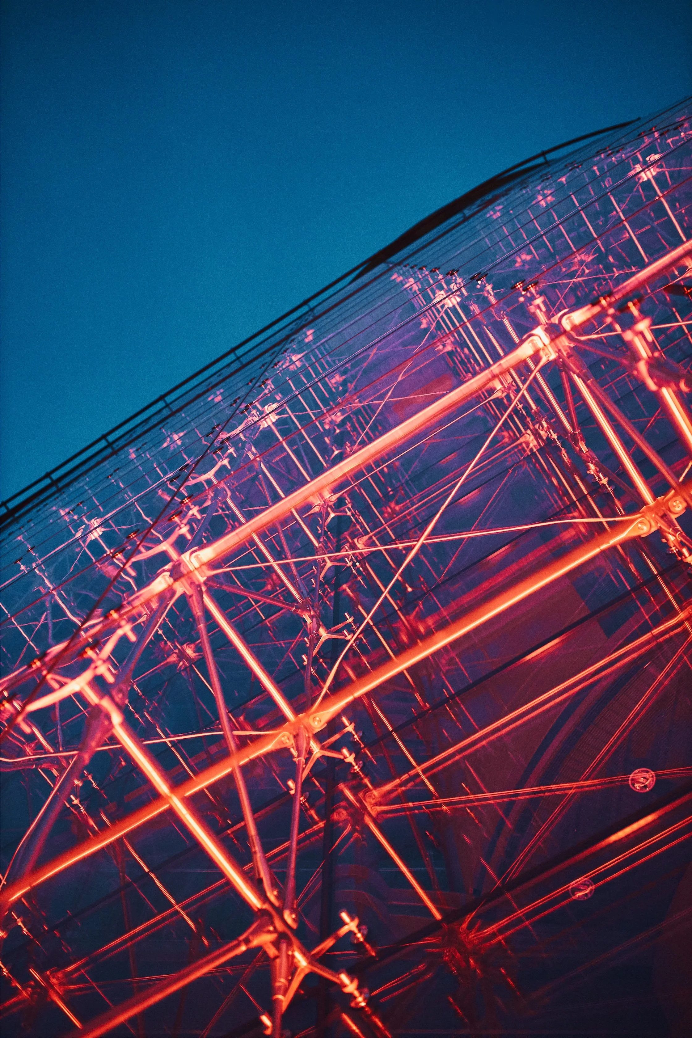 How Singapore Widened the Net