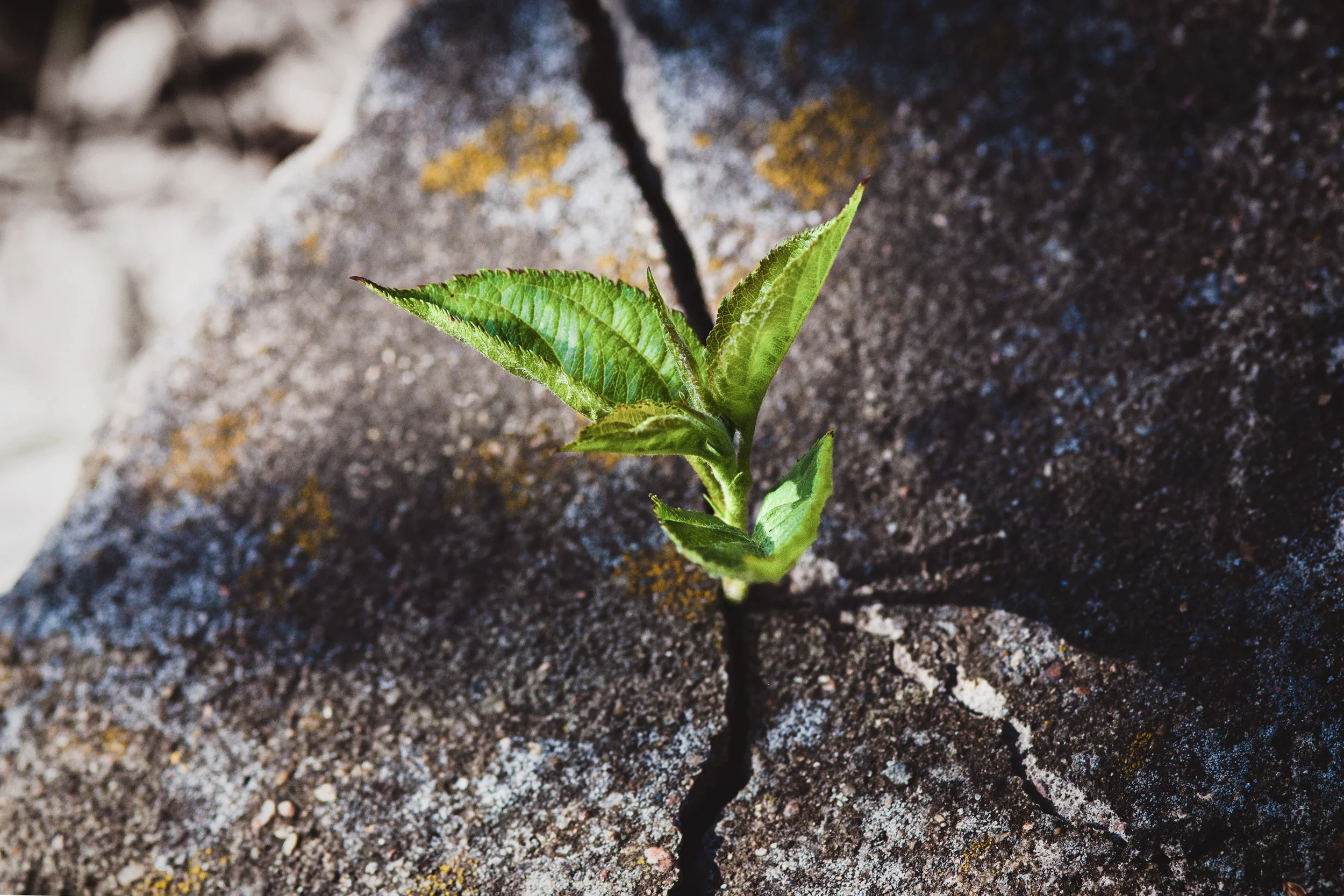 From Security to Resilience: Can You Recover?
