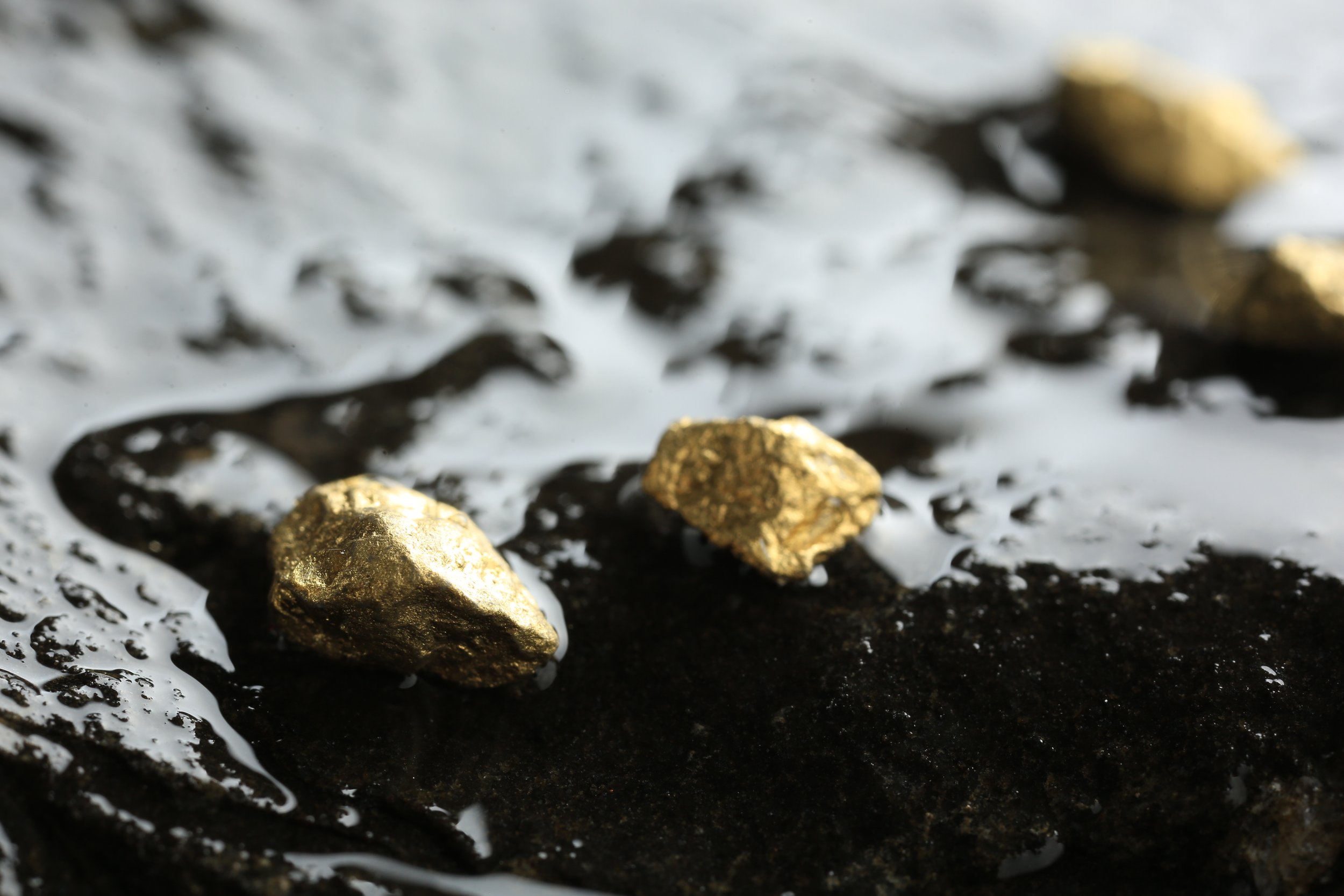 The AI Gold Rush Has a Ghost Problem
