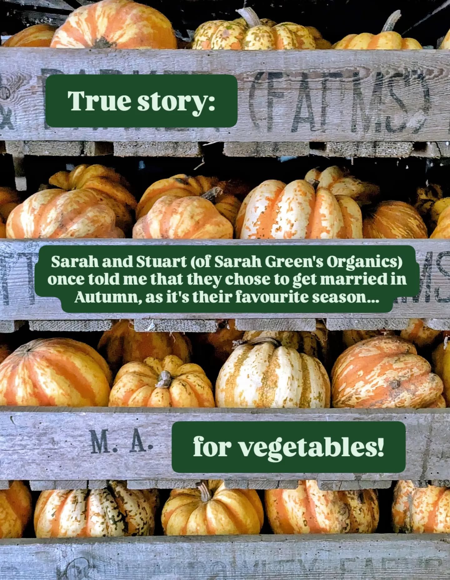 It's less than two weeks until our final field-to-fork dining experience of the year at @sarahgreensorganics 🌾 Our menu features all the best organic Autumn produce grown at the farm - peppers, cauliflowers, beetroot, plums and PLENTY of pumpkins, t
