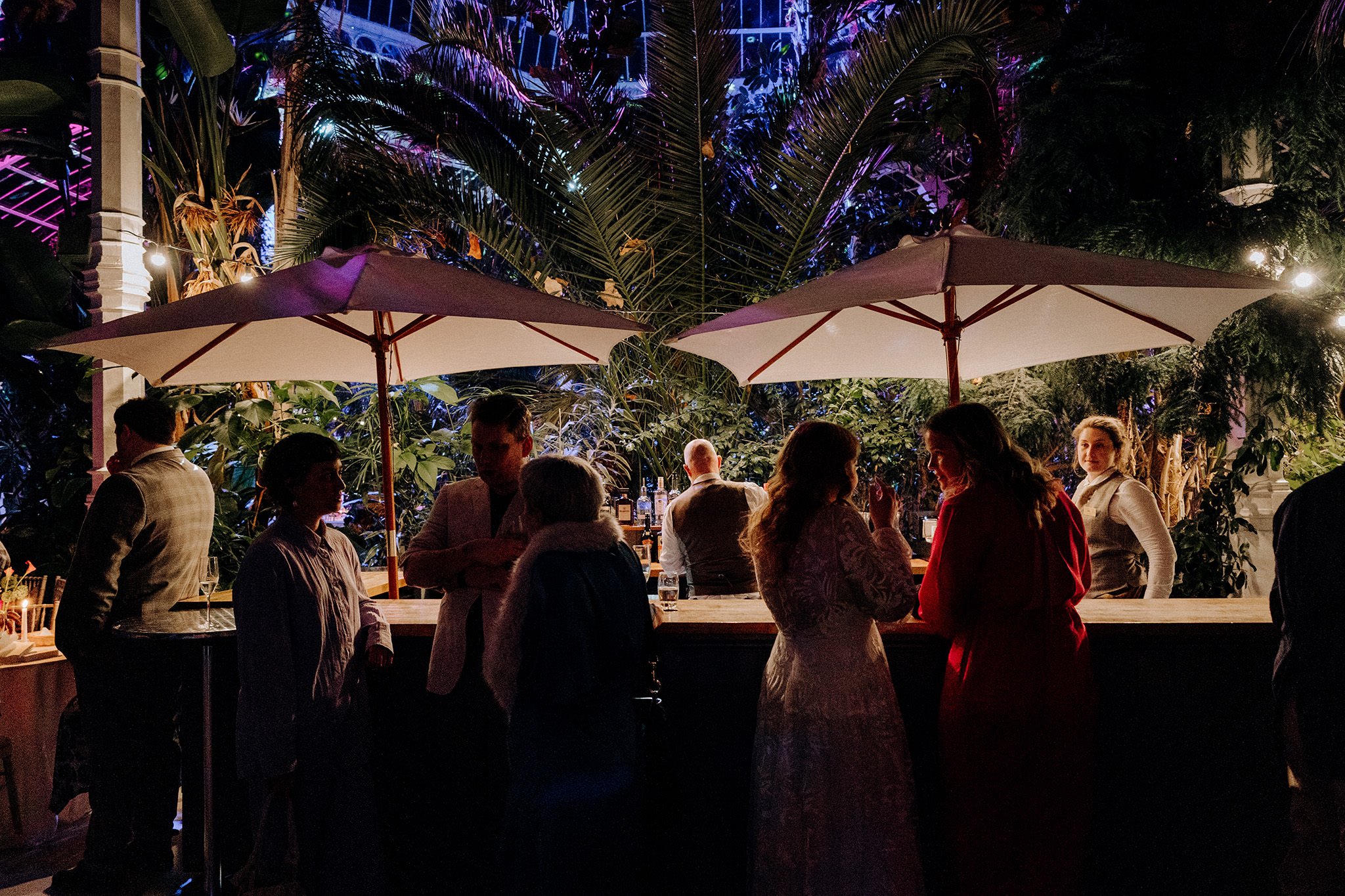 The bar in the evening at Sefton Park Palm House