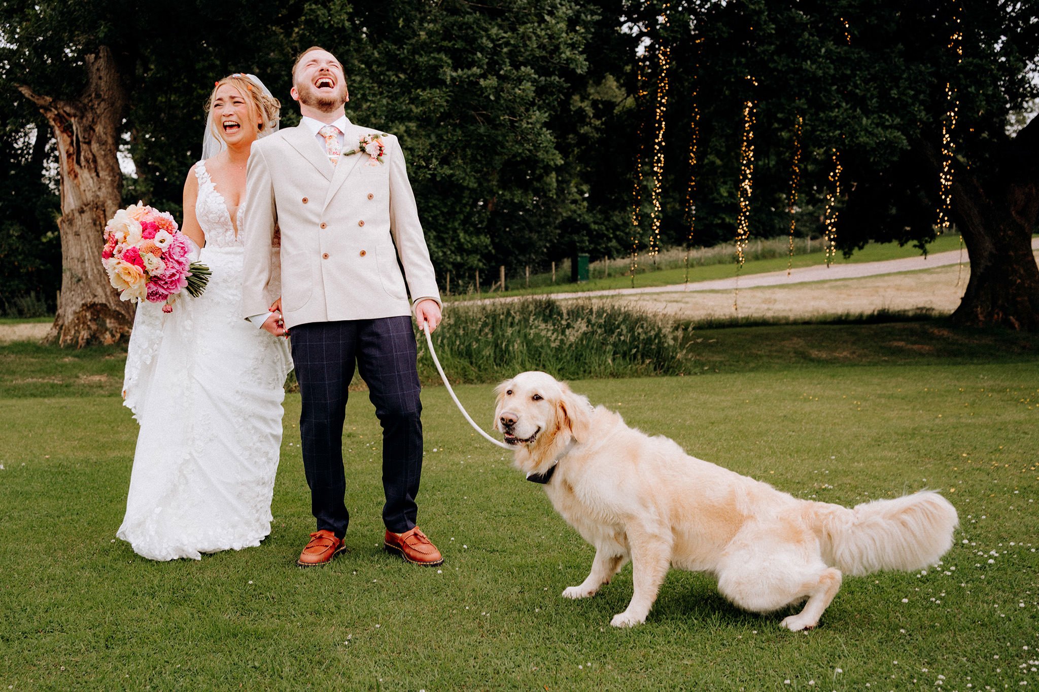 funny moment as dog wees