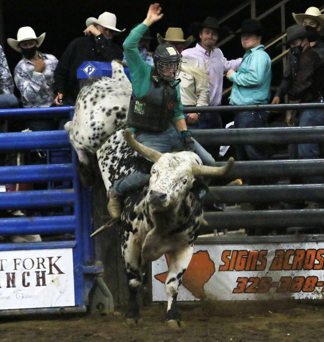 Bull Riding.jpg