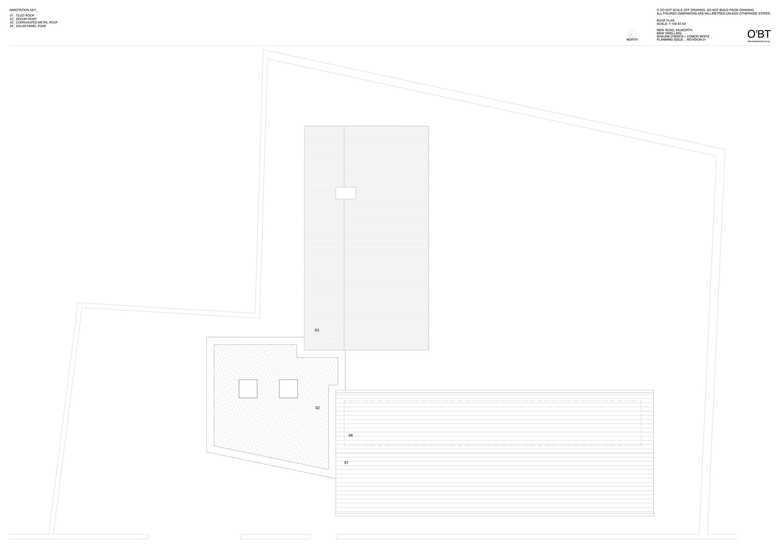 1202_ Proposed Roof.jpg