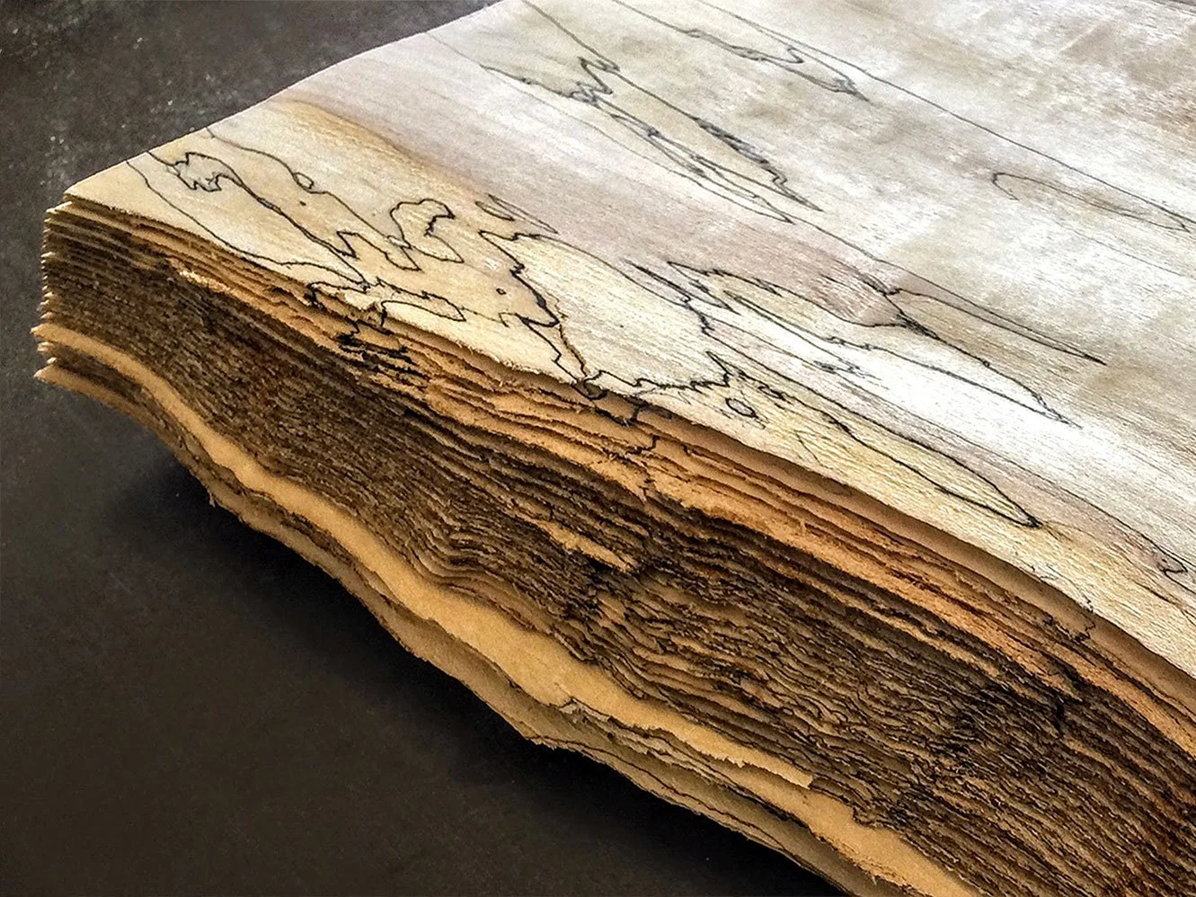 Spalted Maple Veneer | Vermont Wildwoods