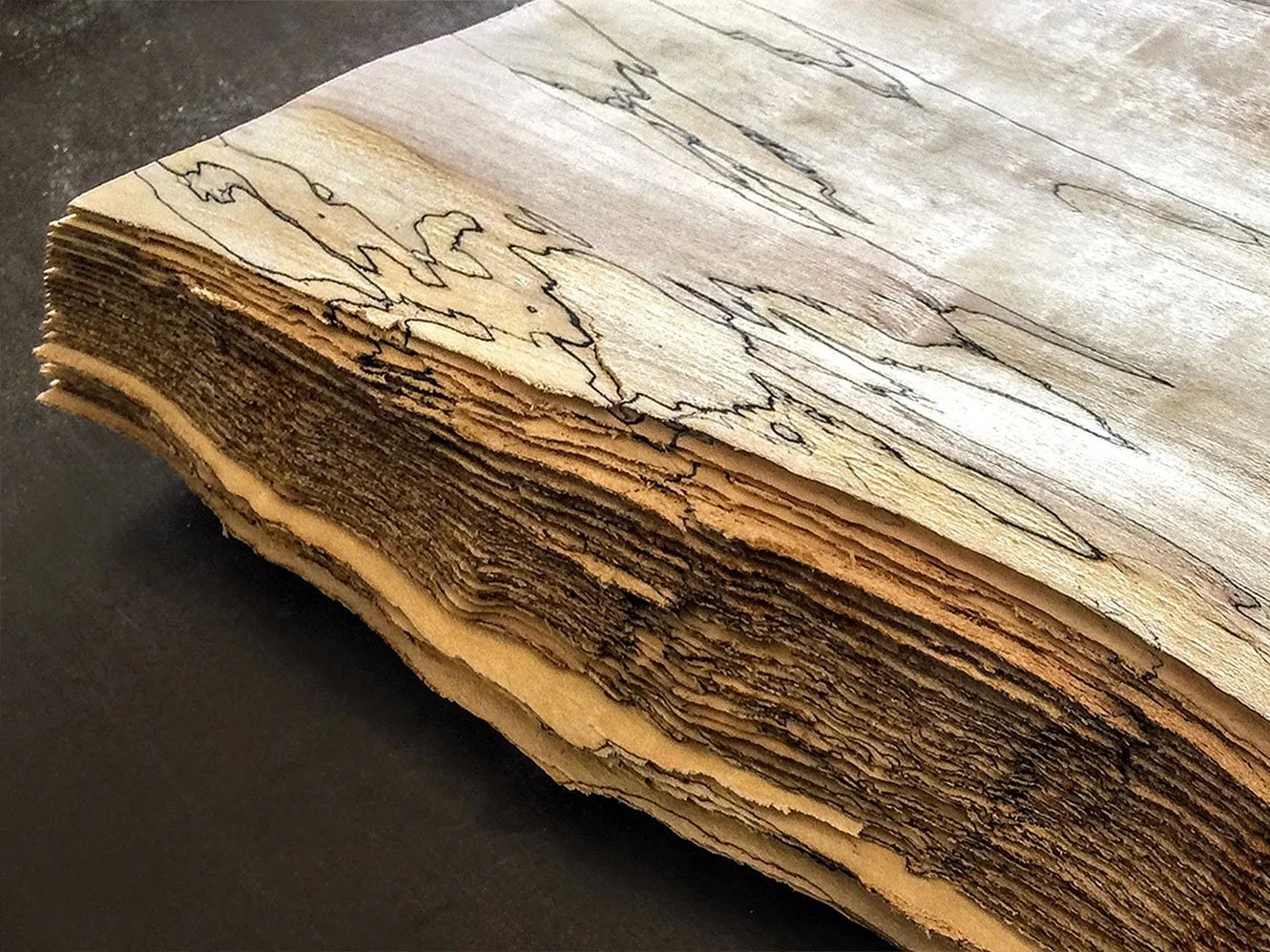 Spaulted Maple Panel Spalted Maple Veneer | Vermont Wildwoods