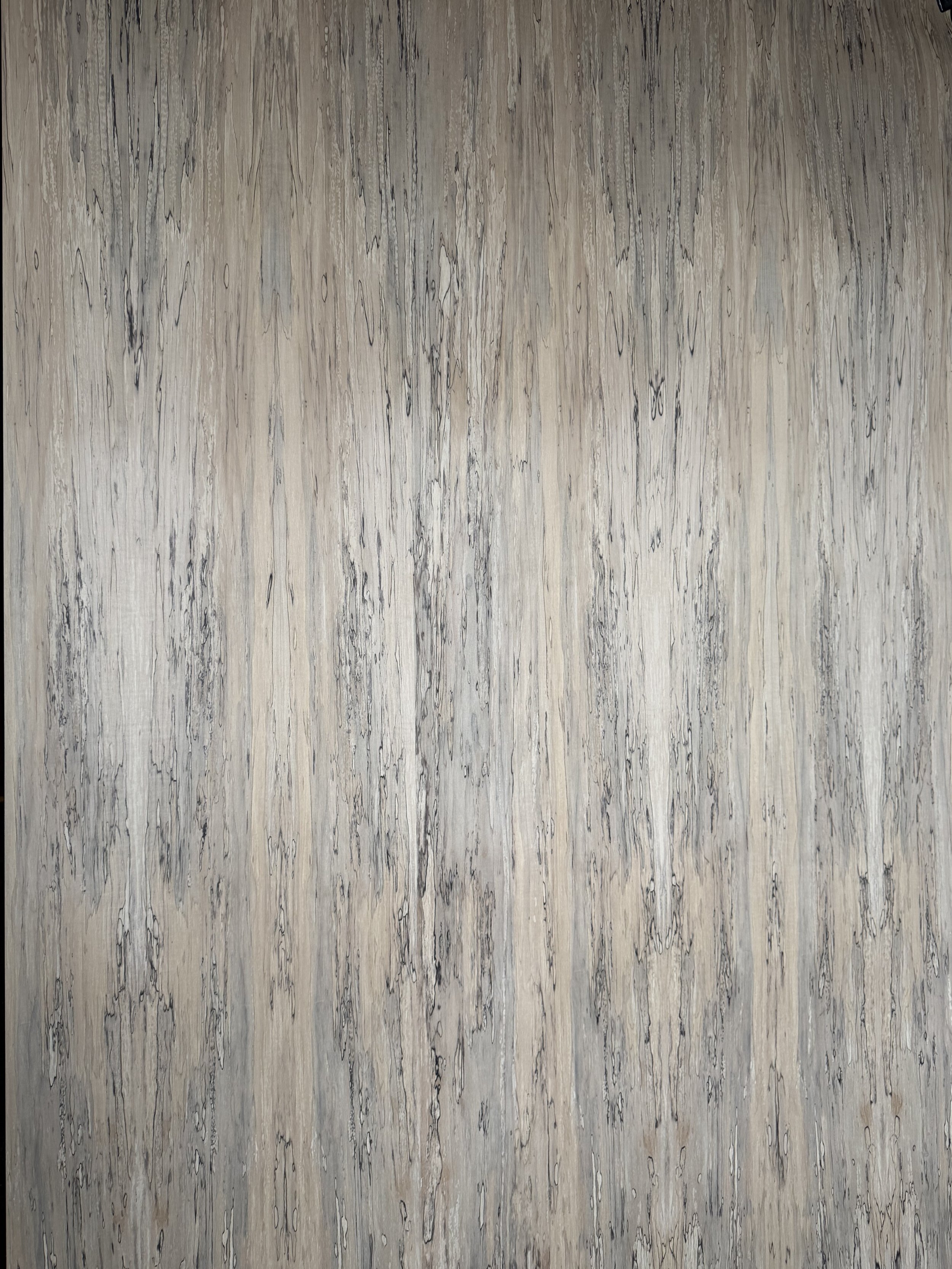 Photo Mar 30 2026, 11 51 09 AM.jpg