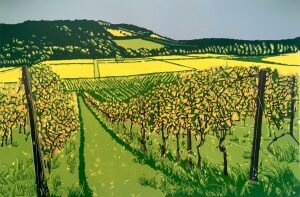 Box-hill-view-from-Denbies--300x197.jpg