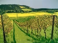 Box-hill-view-from-Denbies--200x150.jpg