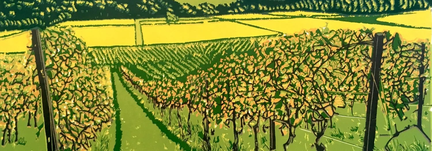 Box-hill-view-from-Denbies--1500x525.jpg