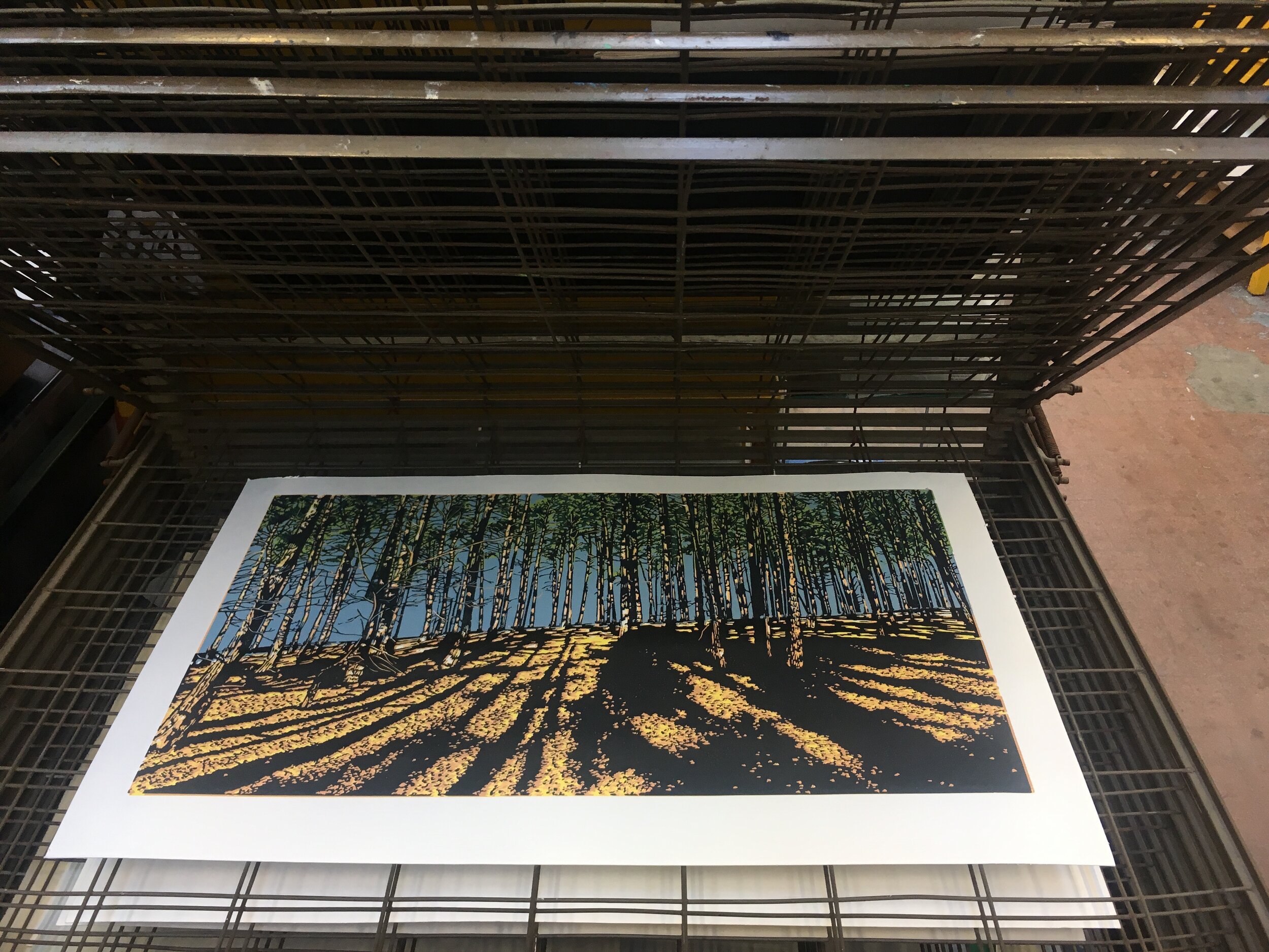 Beneath the woods drying rack.jpeg