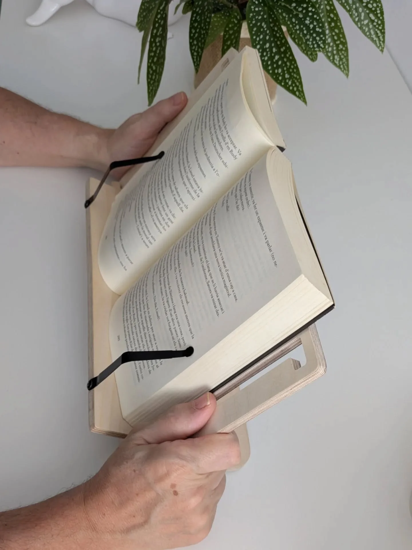 El lector, comoditat per llegir.

#santjordi #bedoll #lectura #minimalisme #fetacatalunya