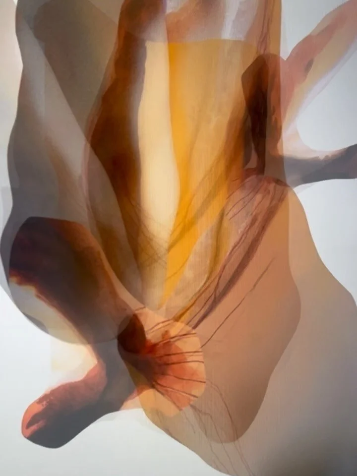 Thank you so much to @tryst.la and @torranceartmuseum for including @taosabstractartistcollective in an incredible weekend of connection and inspiration. It was an honor to share my video/sound piece, Collapse, with LA. Thanks @bgoesrogue for includi