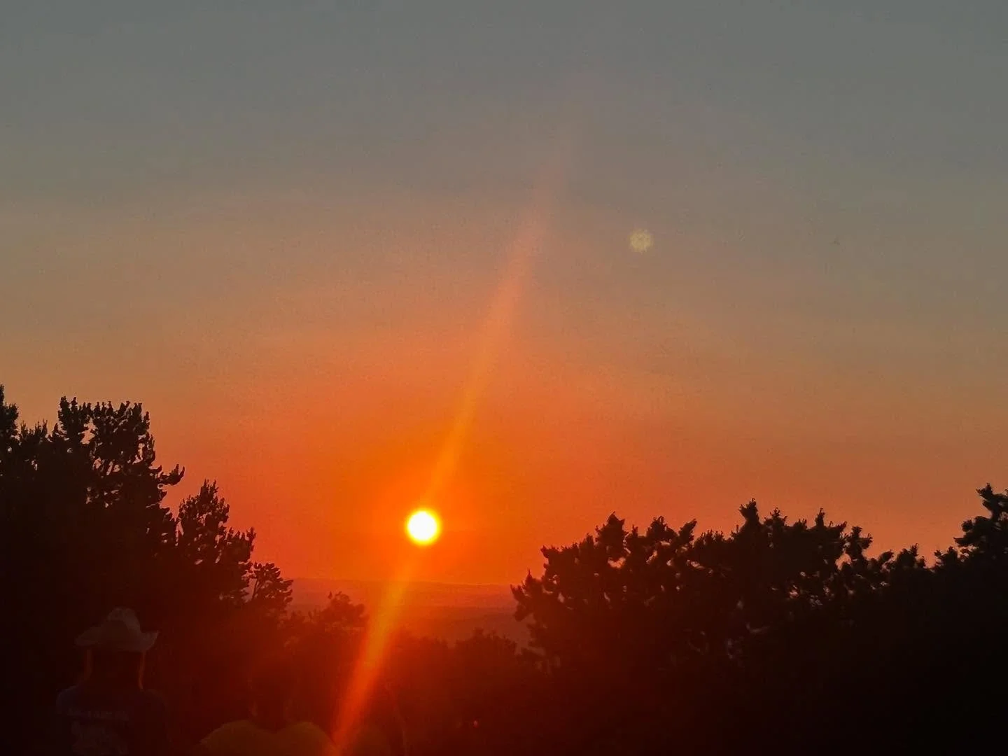 Home 🌘 ☀️ 🌵