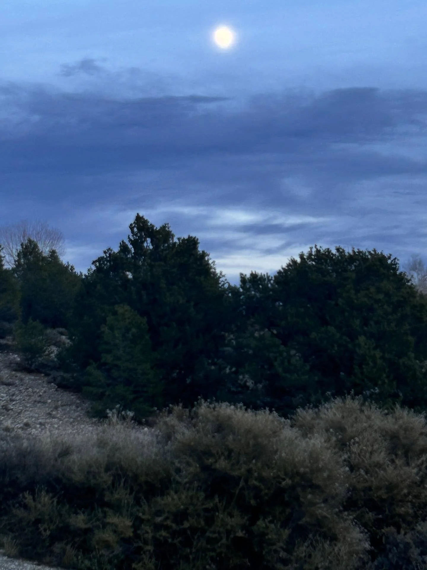 Full moon in Taurus
🌕 🏔️