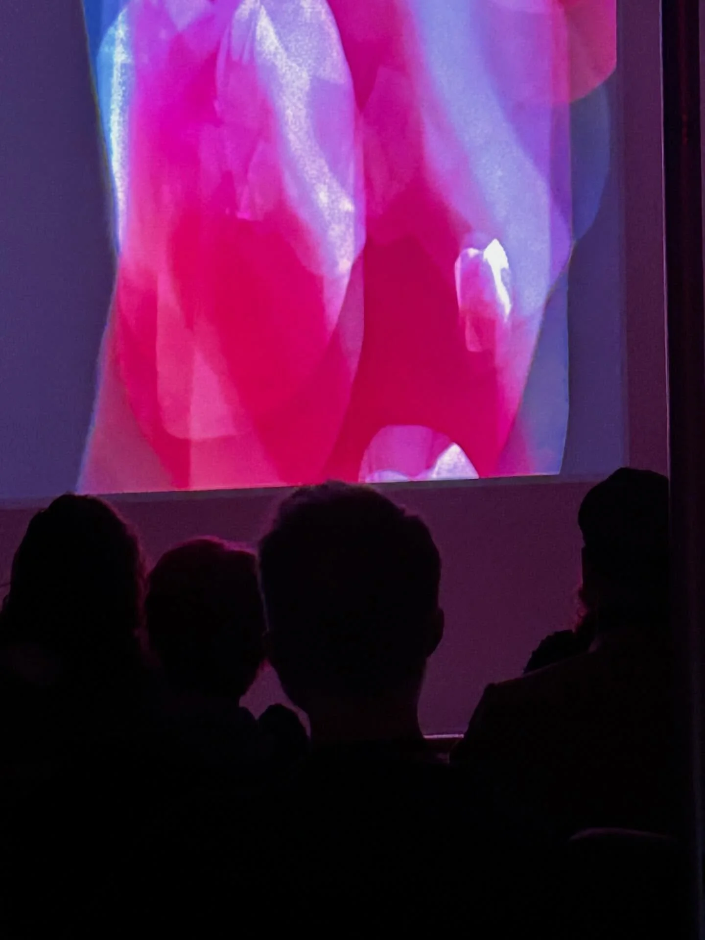 A massive thank you to @taosff and @taosabstractartistcollective for this incredible opportunity to share my project. Brian, bianca and Leo🥹💕 This week/end has been inspiring - so many connections! One day to go! Congratulations to all the filmmake