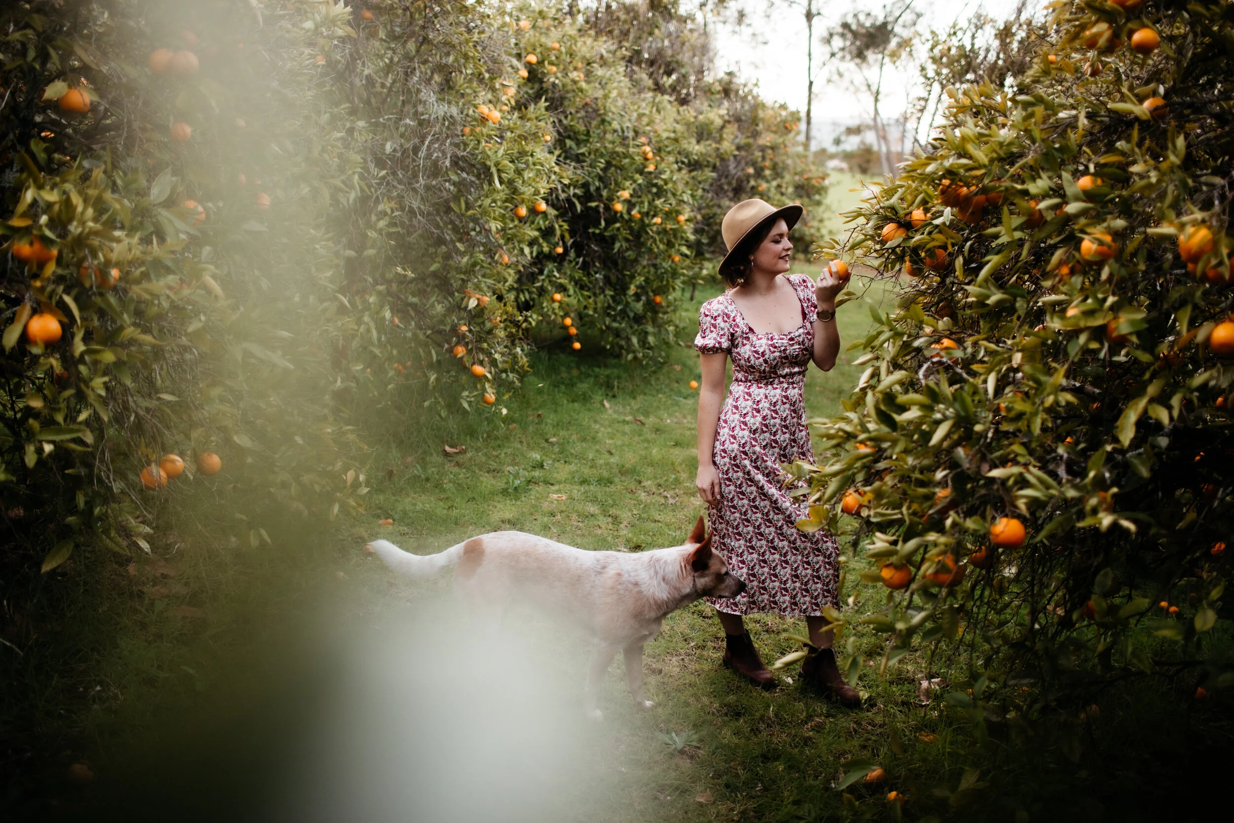 OliveWoodVegan__July2020_KellyHarwoodPhotography-293.jpg