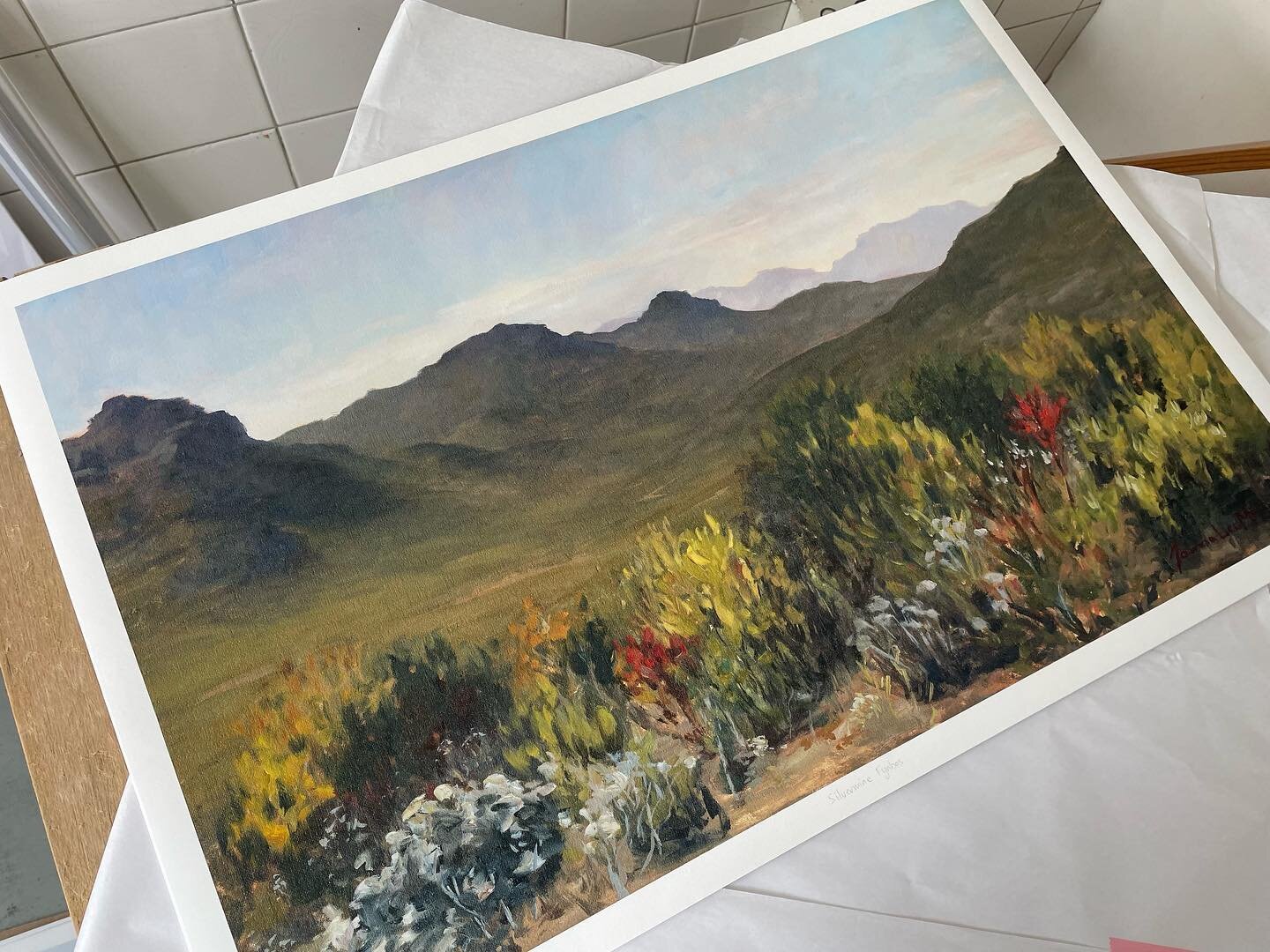 My Silvermine Fynbos print is ready for purchase on my website - https://www.joannaleemiller.com/available-paintings-1/p/silvermine-fynbos 😃🎨

I hope to see you soon at our @sidetrack_studios_ Open Studios 10am-3pm today! You&rsquo;ll be able to se