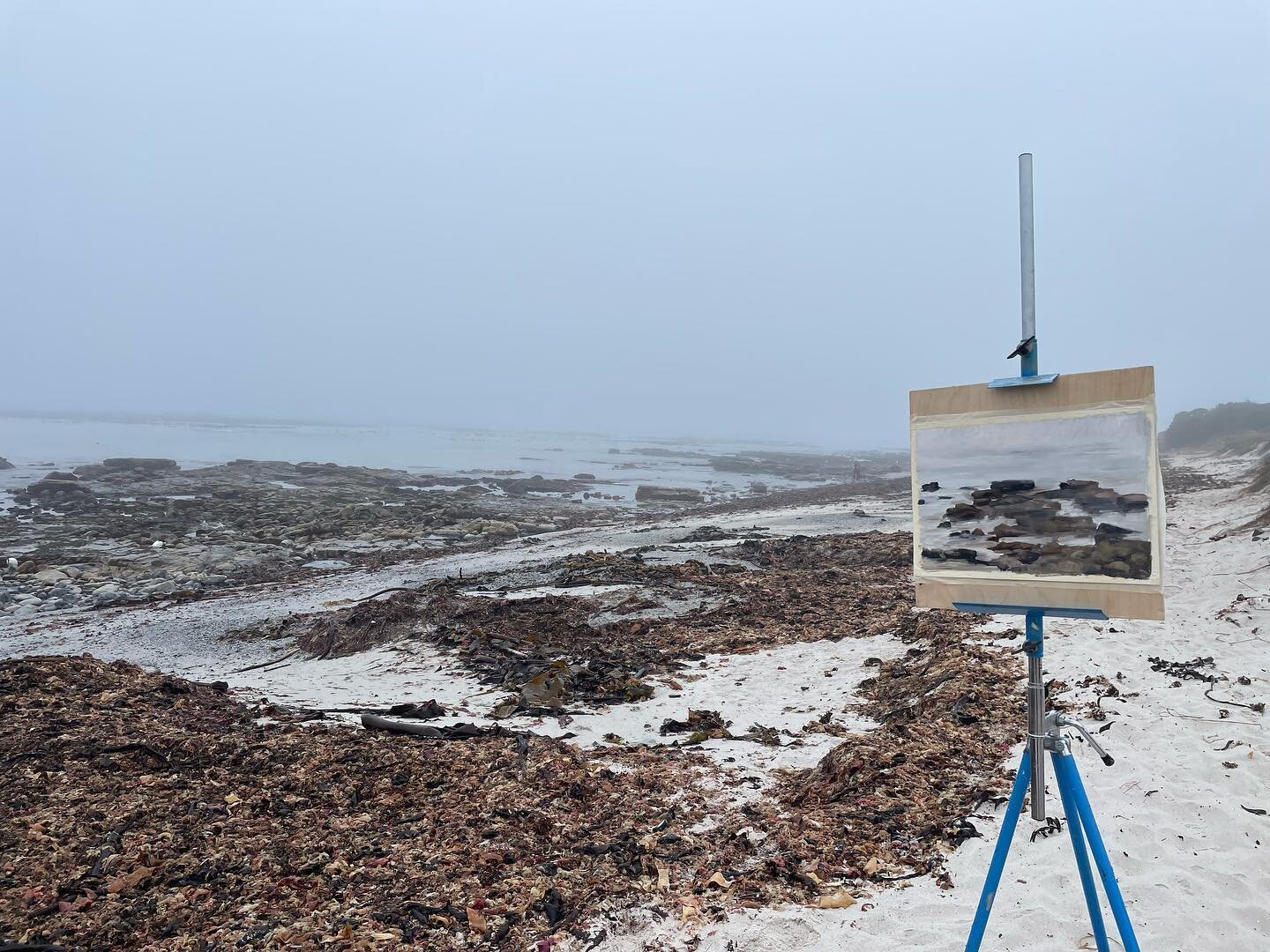 When you&rsquo;re determined (stubborn) to paint even in thick fog&hellip; you get magical scenes with no horizon and lapping water and seagulls and sometimes undesirable smells from the rotting seaweed&hellip; I wouldn&rsquo;t have it any other way!