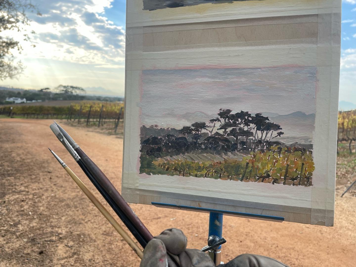 A three-brush kind of morning&hellip; I didn&rsquo;t realise I&rsquo;d used so few brushes until I wrapped up for the day! A magical still morning in Groot Constantia. The pinks in the sky in Autumn are like a warm hug (helped by the warm Berg wind a