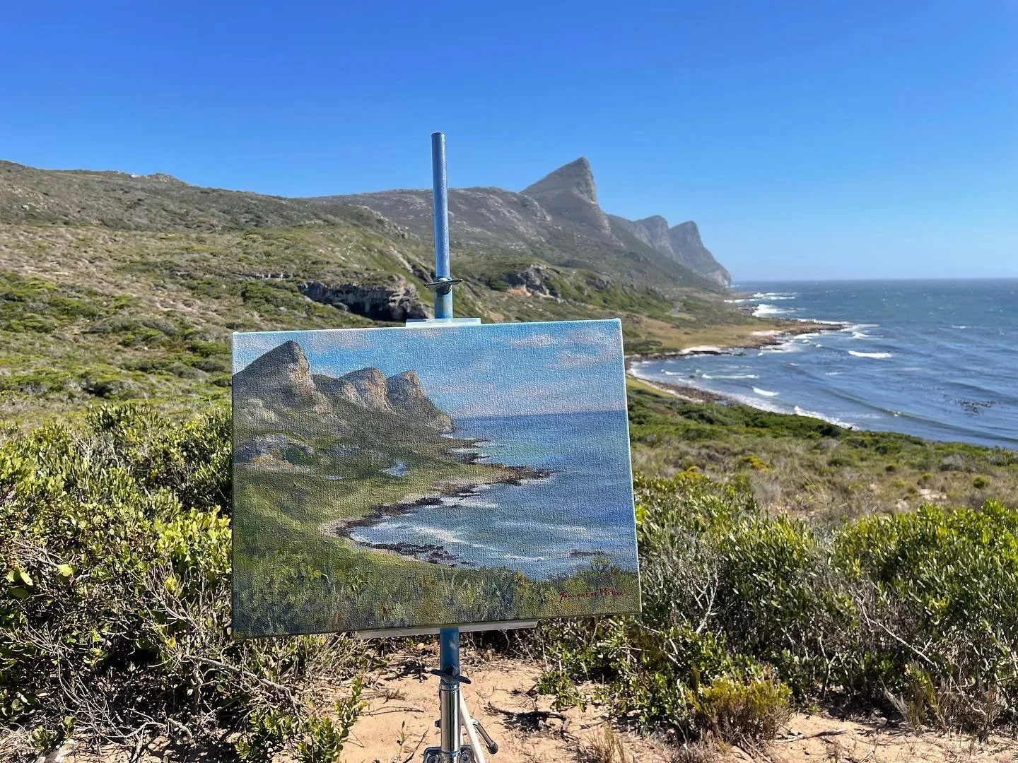 I love nothing more (ok, almost nothing more) than spending the whole day painting. I went to Cape Point recently to create new work for @rkcontemporary as part of our @sidetrack_studios_ group show Common Ground. I arrived as the National Park opene
