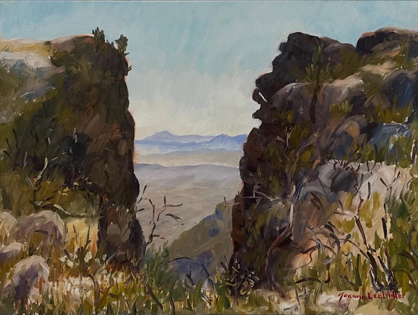 In October and November last year I participated in Art on the Mountain - a thrilling experience of taking the @tablemountainca cable car up to the top of Table Mountain to join @hermien_art and a whole range of different South African artists as we 