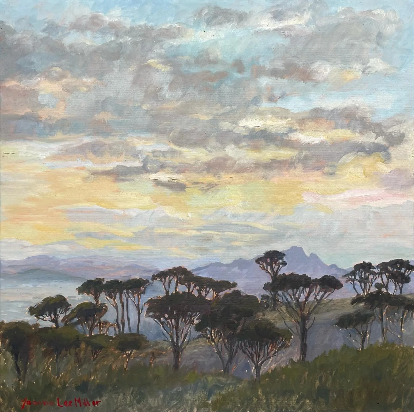 The first painting I created for @noordhoekartpoint &lsquo;s Out the Box annual exhibition. To be a Plein air painter, you really need to be an optimist. You never know quite what will inspire you, but you leave the house in the hope (and belief) tha