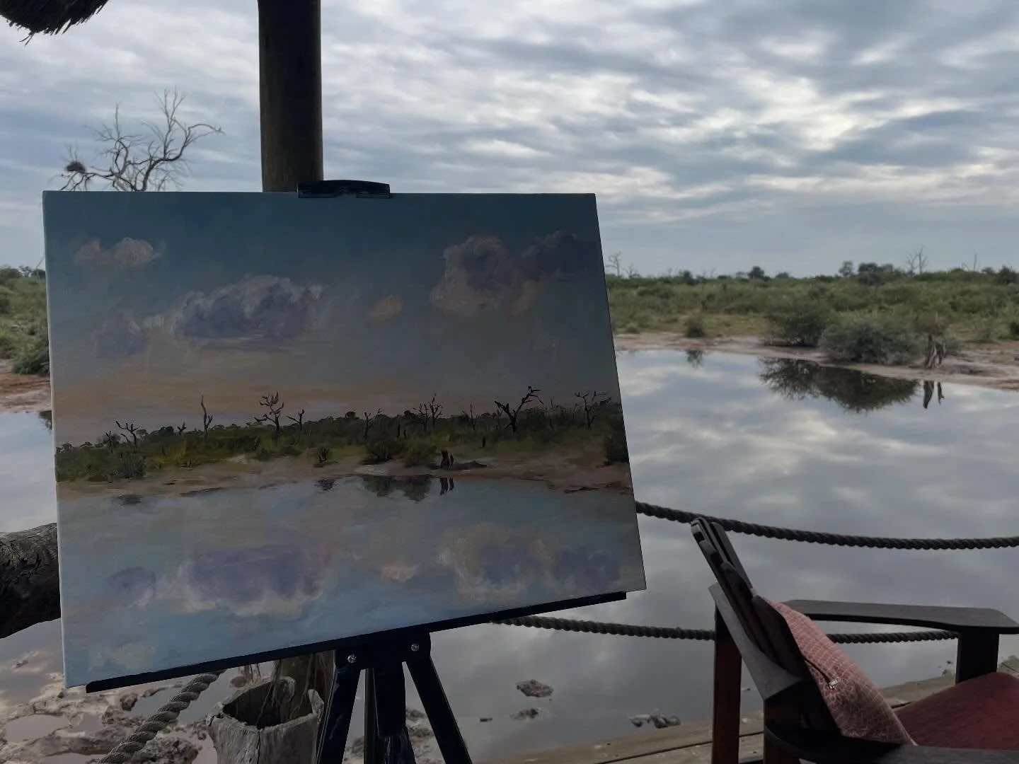 A very special view on the left side of the Okavango Delta with @carob2209 at her incredible @omogolo_hideaways in Botswana. 

My first visit here was in 2022 - I brought my paints then with small canvases. I knew on this return I needed to bring my 