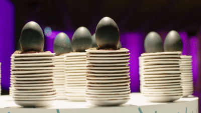 Miralda_Five_Feastables-6.gif